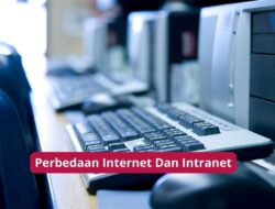 Perbedaan Internet Dan Intranet